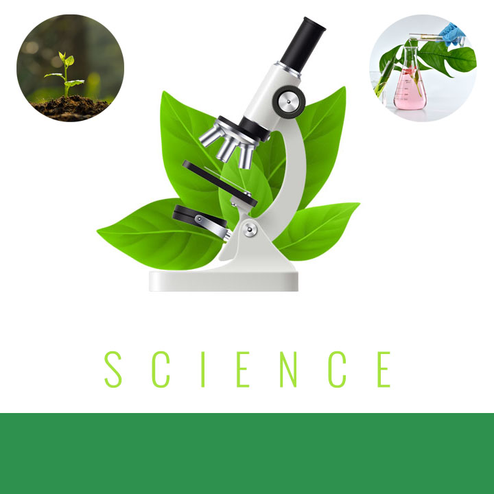 Science Behind SK Botanicals